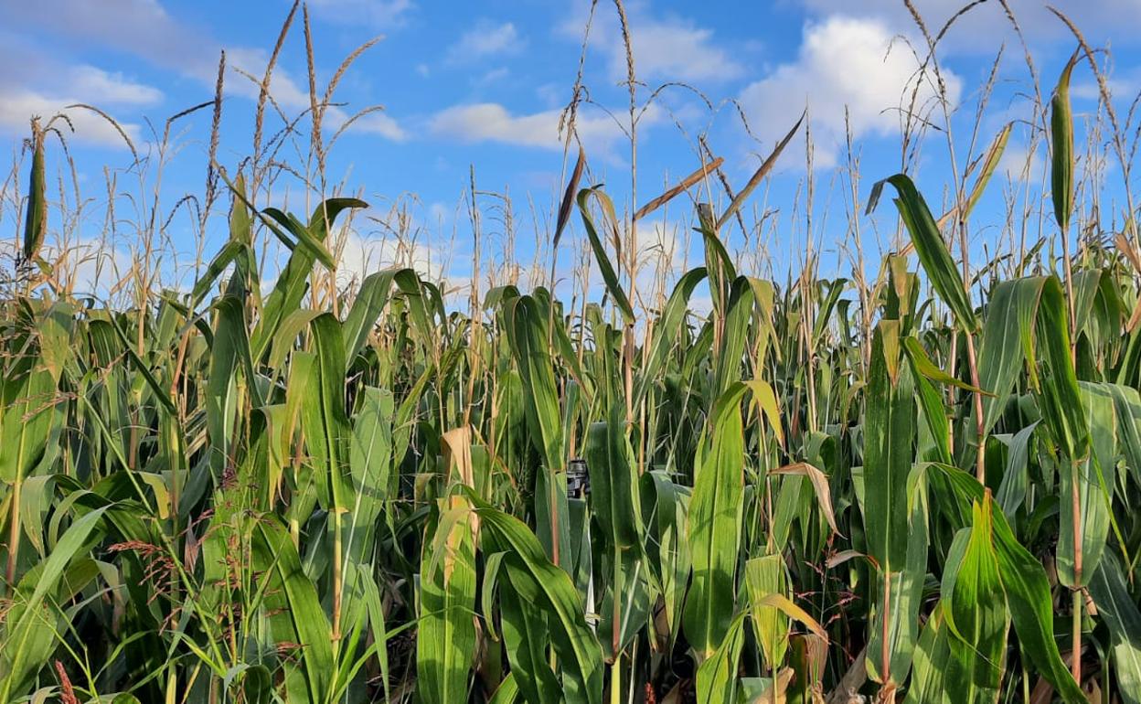 Asaja Le N Convoca El De Octubre Una Concentraci N De Productores De